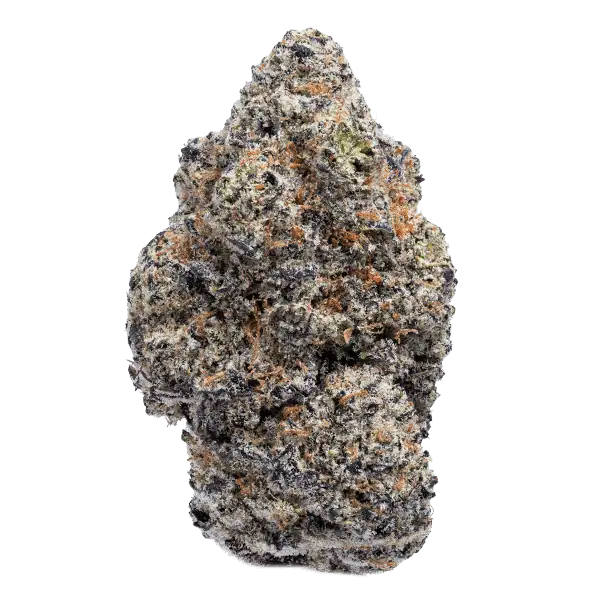 Lizard Burger hemp flower
